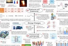 c5 energy changes