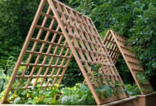Triangular Trellis