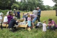 ryewater nursery dorset