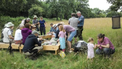 ryewater nursery dorset