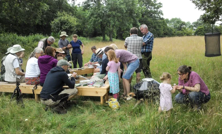 ryewater nursery dorset