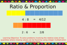 ratio for year 6