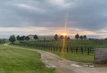 rosebury farm