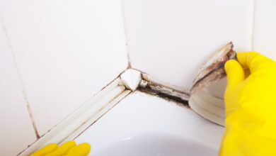 remove mold from sealant