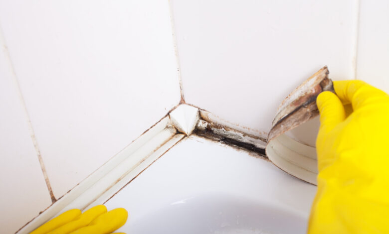 remove mold from sealant