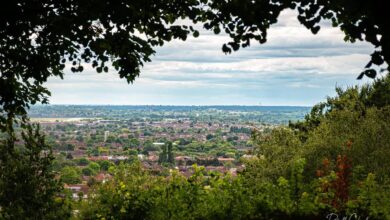 harrow on the hill view