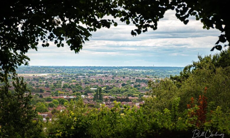 harrow on the hill view