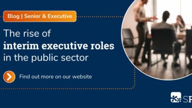 interim executive roles