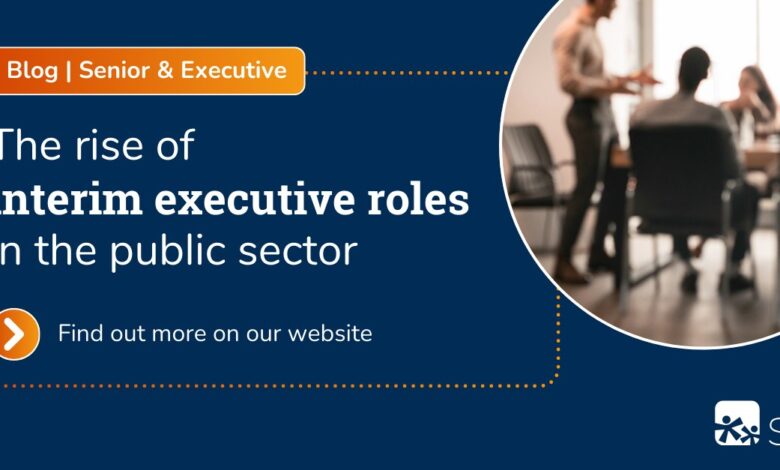 interim executive roles