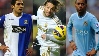 premier league one season wonders