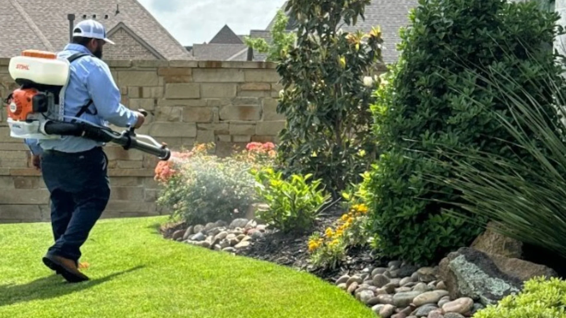 Cedar for Pest Control