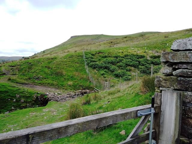 Fell Wall
