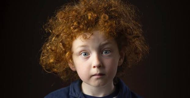 Scotland Ginger