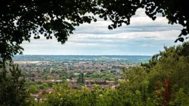 Harrow on the Hill View