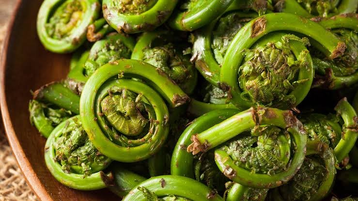 Fiddleheads UK