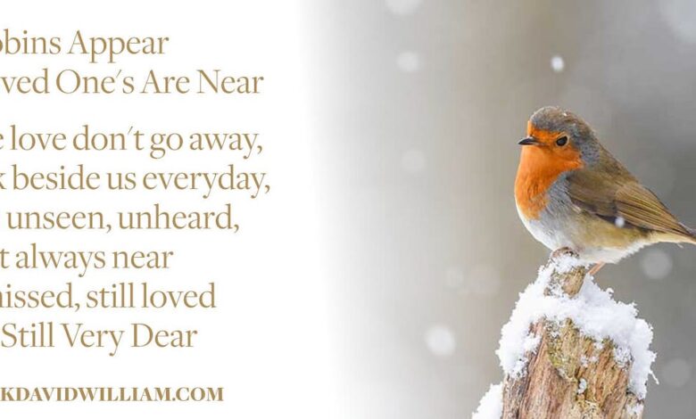 Spiritual Meaning of a Robin Visiting