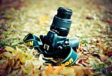 nikon lenses for d3100