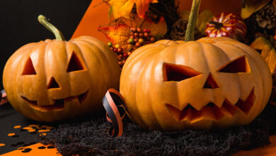 Cheshire Pick Your Own Pumpkins Frodsham