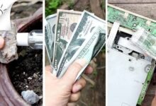 How Can You Hide Money