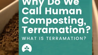 Terramation UK
