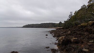 Osborne Bay
