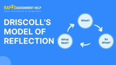 Driscoll Model of Reflection