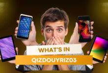 What’s In Qizdouyriz03