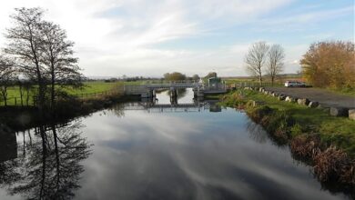 king's sedgemoor drain