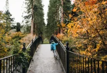 Benmore Botanic Garden