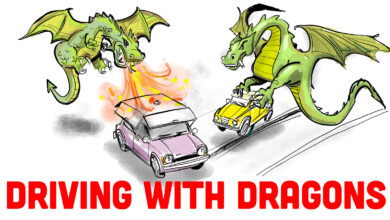 Dragon Driving