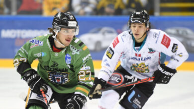 Elite Ice Hockey League