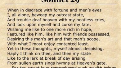 Sonnet 29