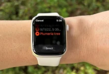 Apple Watch Series 8