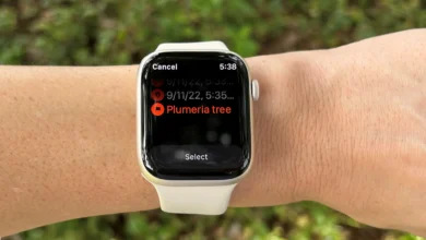 Apple Watch Series 8