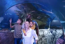 Sea Life Loch Lomond