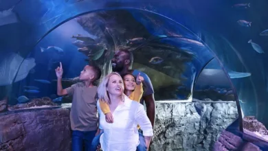 Sea Life Loch Lomond