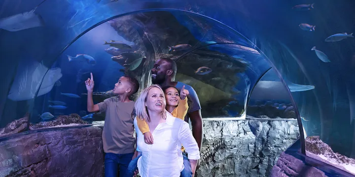 Sea Life Loch Lomond