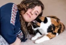 why does my cat keep headbutting me