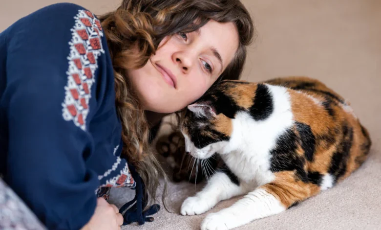 why does my cat keep headbutting me