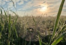 BBC Weather Cambridge