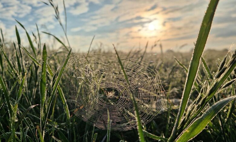 BBC Weather Cambridge