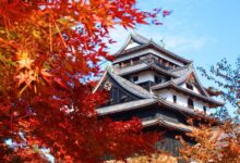 Best Places to See Autumn Leaves Japan