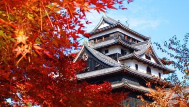 Best Places to See Autumn Leaves Japan
