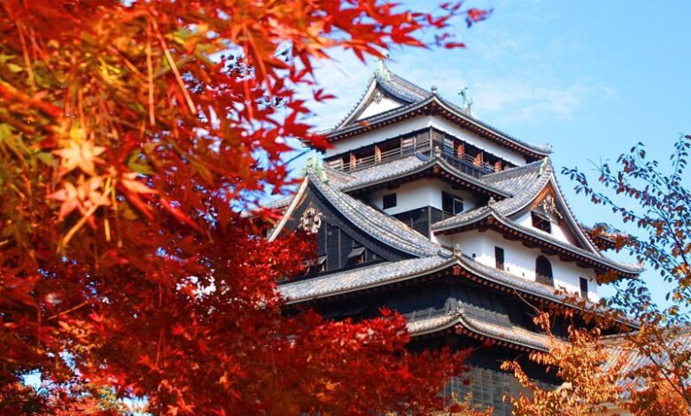 Best Places to See Autumn Leaves Japan