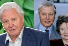 How Old Is David Attenborough