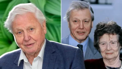 How Old Is David Attenborough