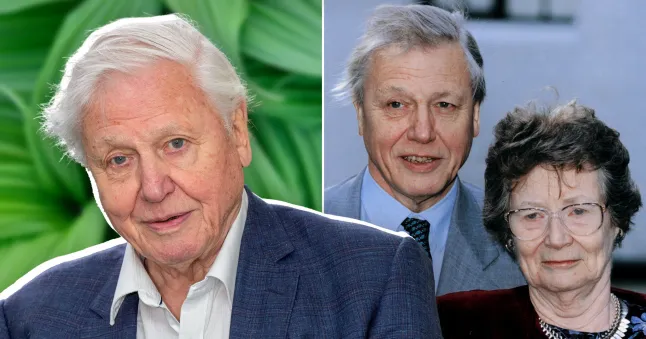 How Old Is David Attenborough