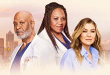 grey's anatomy season 22