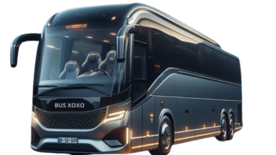 Bus Rentals