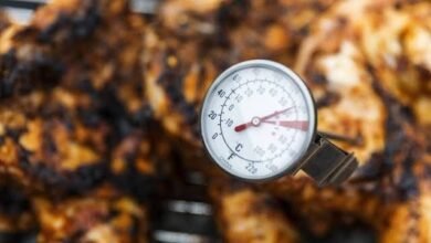 How to Use a Meat Thermometer